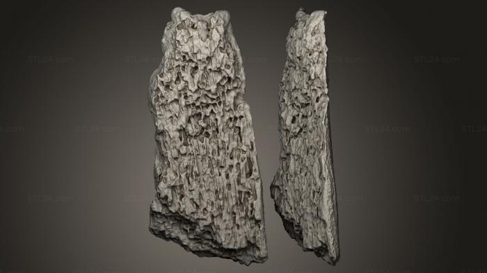 Камни и ракушки (Каамень, ROCKS_0015) 3D модель для ЧПУ станка