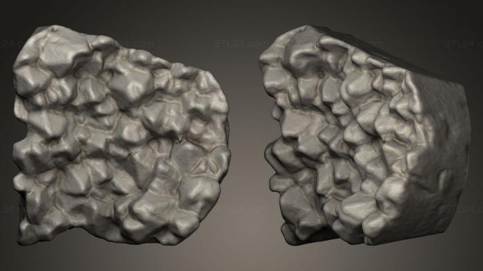 Камни и ракушки (Пьедра де имитацин, ROCKS_0016) 3D модель для ЧПУ станка
