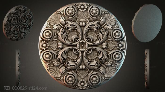 RZI_000829