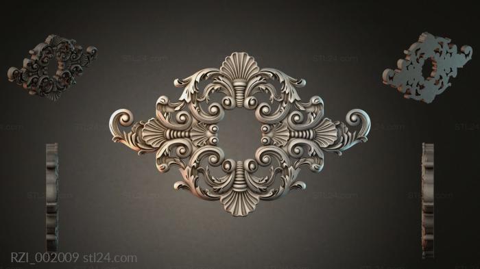 RZI_002009