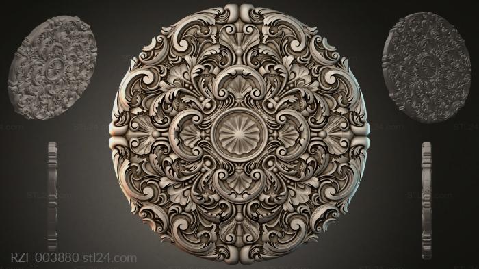 RZI_003880