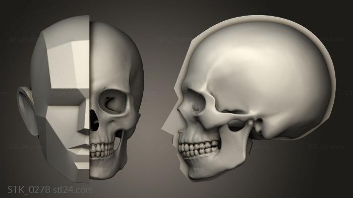 Statuette (New version of Head Stub with ANTM0264 skull, STK_0278) 3D models for cnc