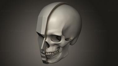 Statuette (New version of Head Stub with ANTM0264 skull, STK_0278) 3D models for cnc