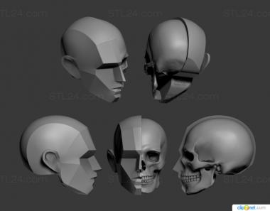 Statuette (New version of Head Stub with ANTM0264 skull, STK_0278) 3D models for cnc