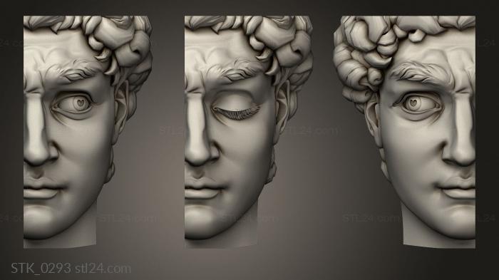 Statuette (Half-face of David, STK_0293) 3D models for cnc