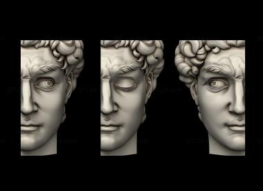 Statuette (Half-face of David, STK_0293) 3D models for cnc