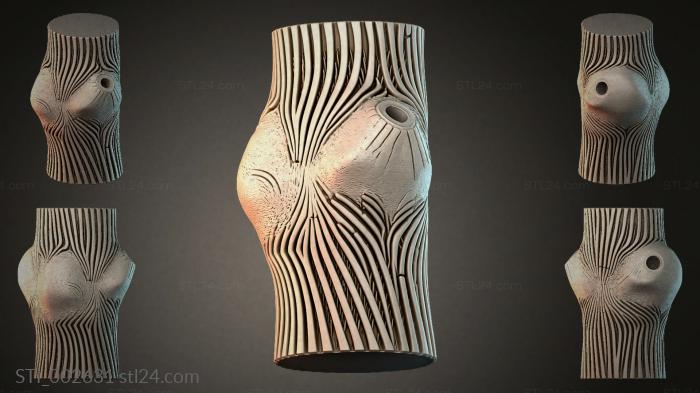 Vase with raised lines 3d STL model
