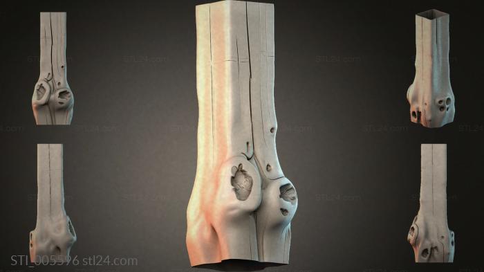 Anatomical limb module with organs for 3D printing 3d STL model