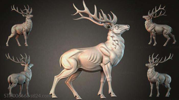 Red deer with branched antlers 3d STL model