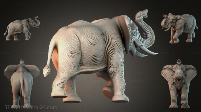 Elephant in profile with raised trunk 3d STL model