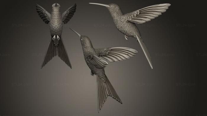 Статуэтки птицы (Колибри колибри, STKB_0012) 3D модель для ЧПУ станка