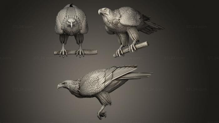 Bird figurines (eagle on a perch preparing for takeoff, STKB_0022) 3D models for cnc