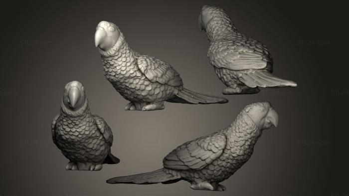 Bird figurines (Parrot Ara red Green, STKB_0053) 3D models for cnc