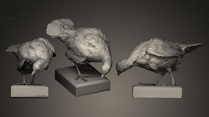Bird figurines (Koroptev poln Perdix perdix L, STKB_0109) 3D models for cnc