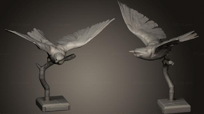 Bird figurines (Mandelk hajn Coracias garrulus L, STKB_0135) 3D models for cnc