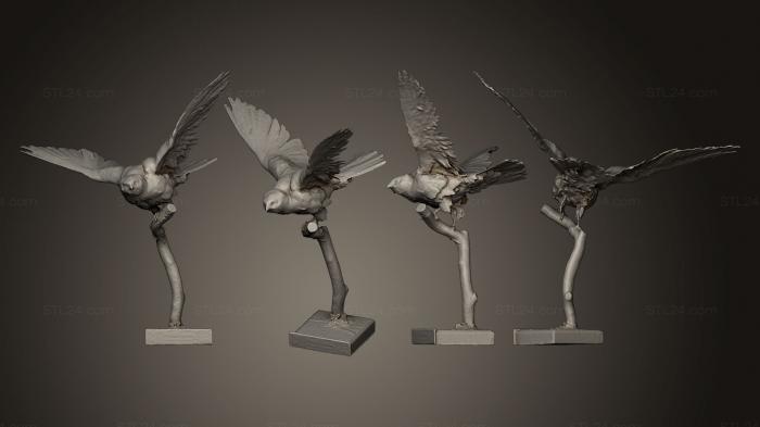 Статуэтки птицы (Сокол, STKB_0137) 3D модель для ЧПУ станка