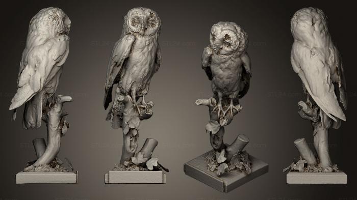 Bird figurines (Sova plen Tyto alba B, STKB_0146) 3D models for cnc