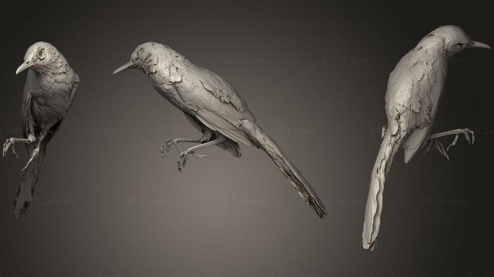 Bird figurines (Long billed Thrasher, STKB_0176) 3D models for cnc