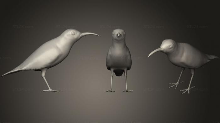 Статуэтки птицы (Смесь Sunbird с оливковой подложкой, STKB_0177) 3D модель для ЧПУ станка