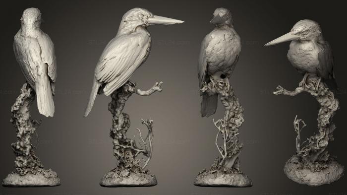 Статуэтки птицы (Белогорлый зимородок, STKB_0190) 3D модель для ЧПУ станка