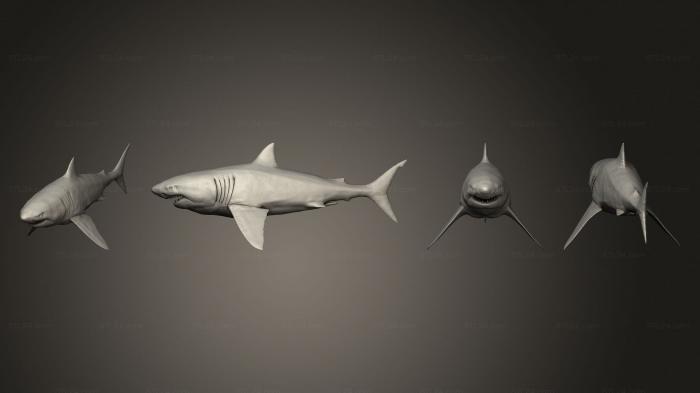 Статуэтки грифоны и драконы (Большая Белая Акула сэконг, STKG_0382) 3D модель для ЧПУ станка