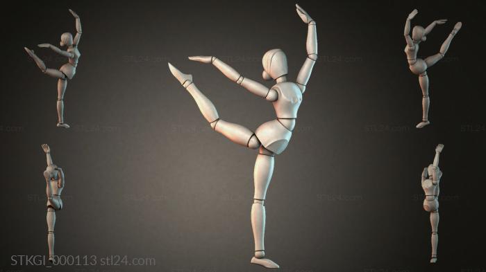 STKGI_000113 3d STL model