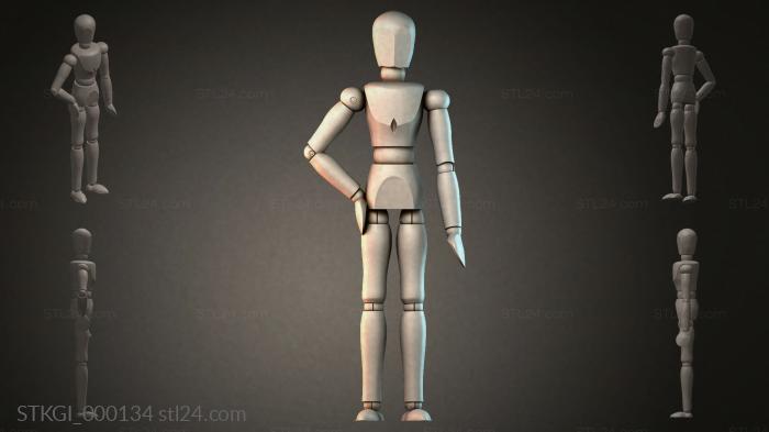STKGI_000134 3d STL model