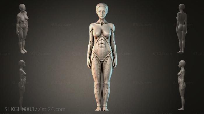 STKGI_000377 3d STL model