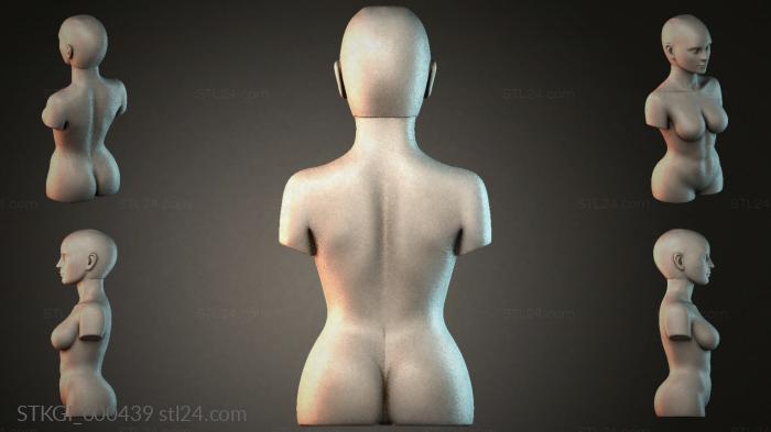 STKGI_000439 3d STL model