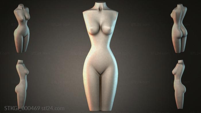 STKGI_000469 3d STL model