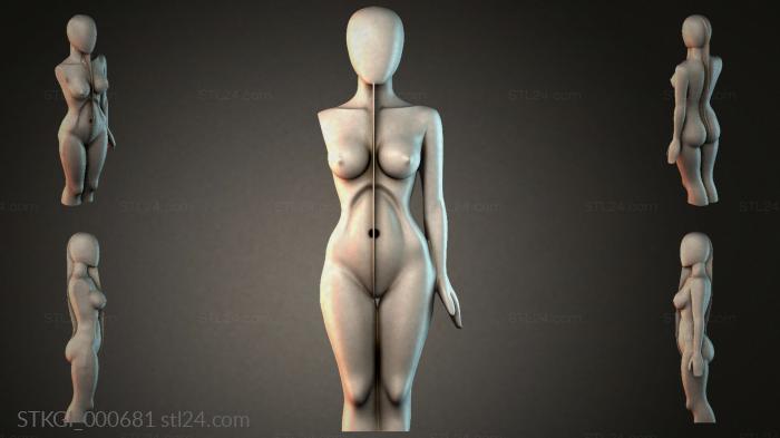 STKGI_000681 3d STL model