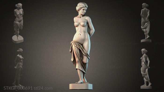 STKGI_000691 3d STL model