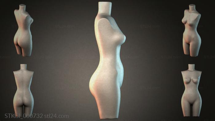 STKGI_000732 3d STL model