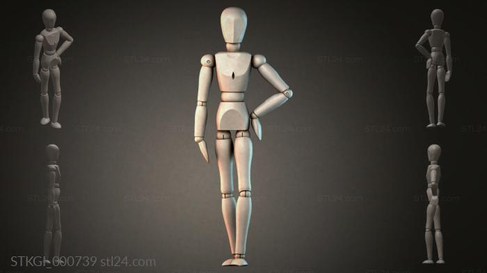 STKGI_000739 3d STL model