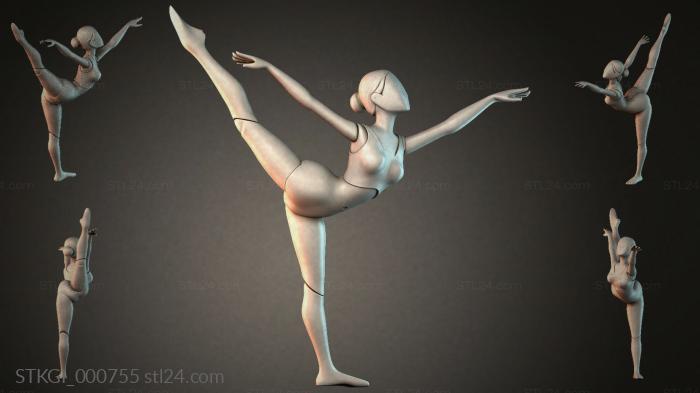 STKGI_000755 3d STL model
