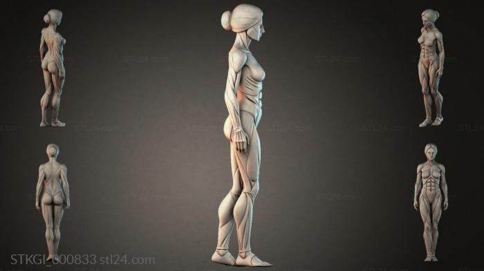 STKGI_000833 3d STL model