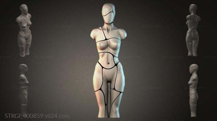 STKGI_000859 3d STL model
