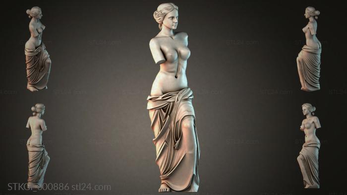 STKGI_000886 3d STL model