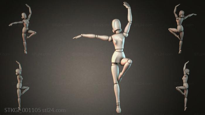 STKGI_001105 3d STL model