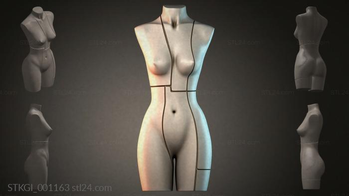 STKGI_001163 3d STL model