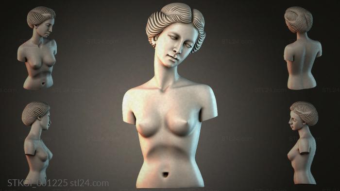STKGI_001225 3d STL model