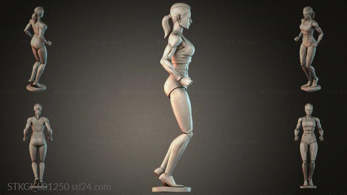 STKGI_001250 3d STL model