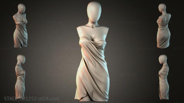 STKGI_001252 3d STL model