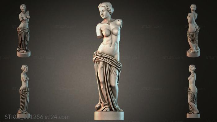 STKGI_001256 3d STL model