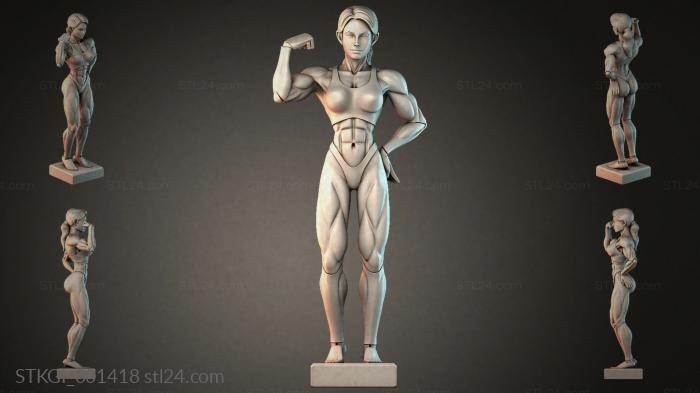 STKGI_001418 3d STL model