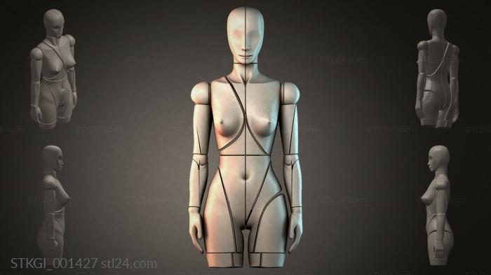 STKGI_001427 3d STL model