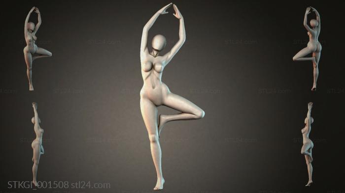 STKGI_001508 3d STL model