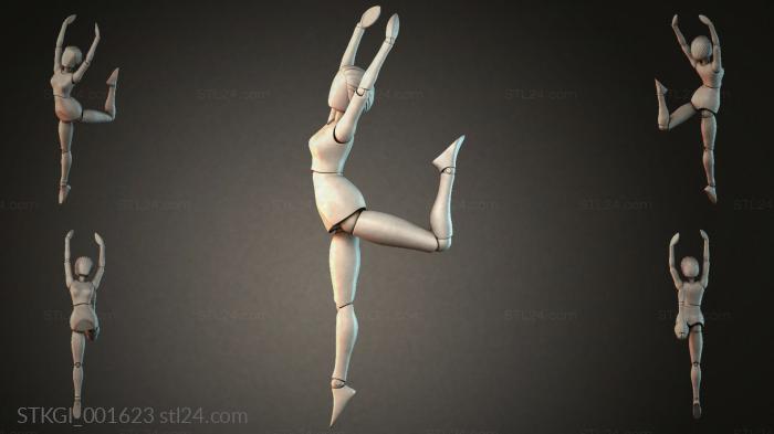 STKGI_001623 3d STL model