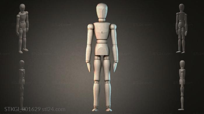 STKGI_001629 3d STL model