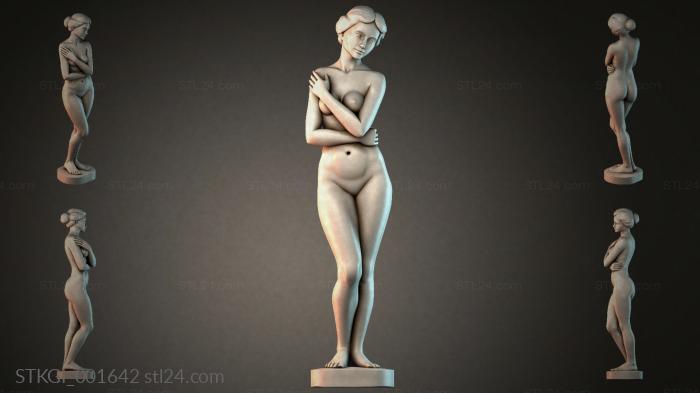STKGI_001642 3d STL model